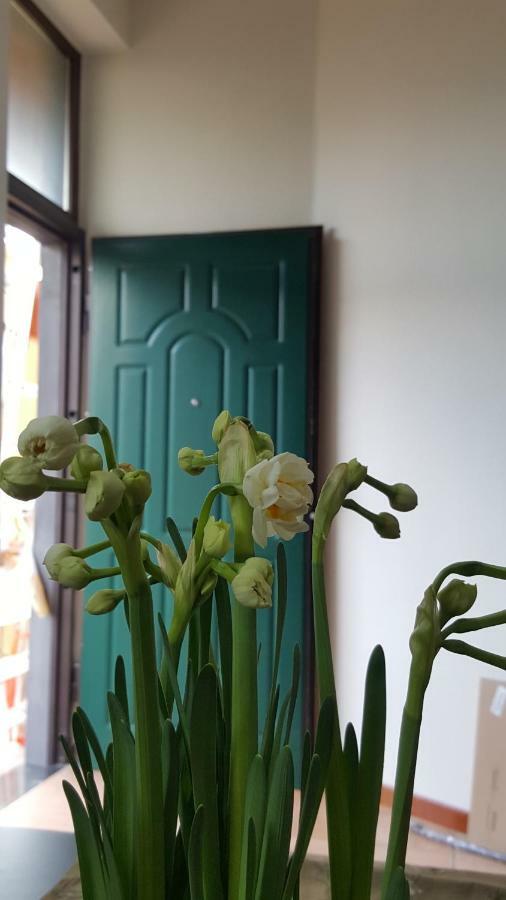 Il Giardino Sul Corso Apartamento Scafati Exterior foto